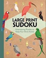 Large Print Sudoku