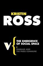 Emergence of Social Space