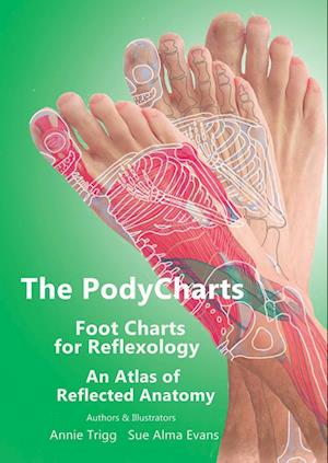 The PodyCharts Foot Charts for Reflexology