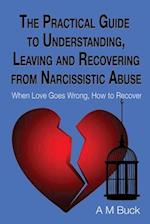 The Practical Guide to Understanding, Leaving and Recovering from Narcissistic Abuse: When Love goes Wrong, How to Recover 