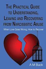 The Practical Guide to Understanding, Leaving and Recovering from Narcissistic Abuse: When Love goes Wrong, How to Recover 