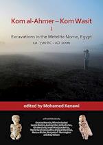 Kom al-Ahmer – Kom Wasit I: Excavations in the Metelite Nome, Egypt