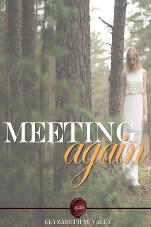 Meeting Again