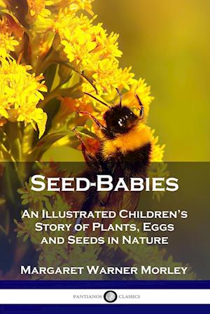 Seed-Babies