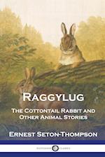 Raggylug