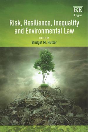 Risk, Resilience, Inequality and Environmental Law