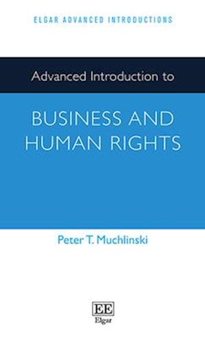 Advanced Introduction to Business and Human Rights