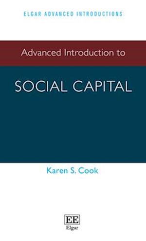 Advanced Introduction to Social Capital