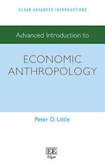Advanced Introduction to Economic Anthropology