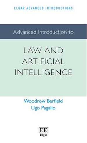 Advanced Introduction to Law and Artificial Intelligence