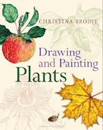Drawing and Painting Plants