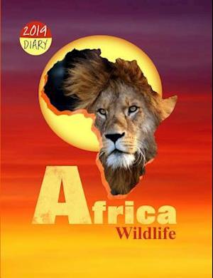 Africa Wildlife