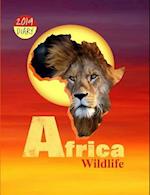 Africa Wildlife