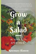 Grow a Salad in Your City Apartment