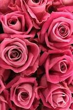 Pink Roses