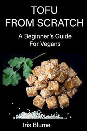 Tofu from Scratch