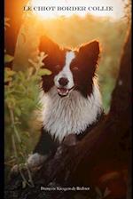 Le Chiot Border Collie