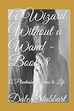 A Wizard Without a Wand - Book 8