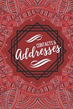 Contacts & Addresses