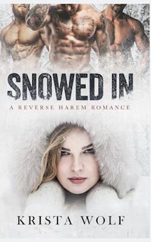 Snowed in - A Reverse Harem Romance