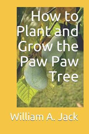 How to Plant and Grow the Paw Paw Tree