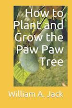 How to Plant and Grow the Paw Paw Tree