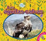 Las Águilas Calvas