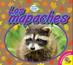 Los Mapaches