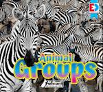 All about Animals - Animal Groups