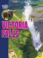 Victoria Falls