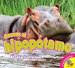 Conoce Al Hipopotamo