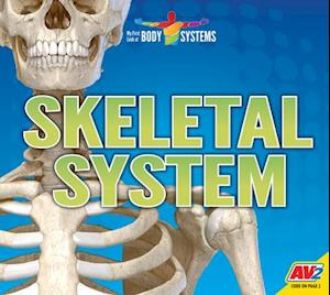 Skeletal System