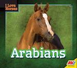 Arabians