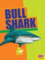 Bull Shark