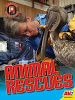 Animal Rescues