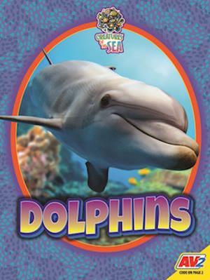 Dolphins