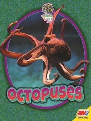 Octopuses