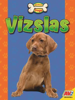 Vizslas