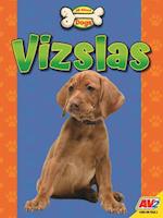 Vizslas