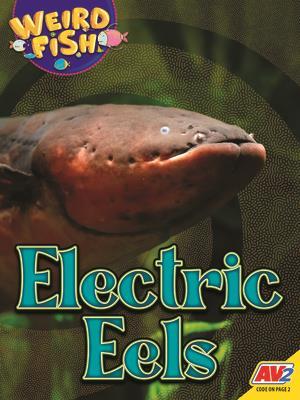 Electric Eels