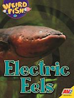 Electric Eels