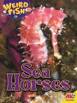 Seahorses