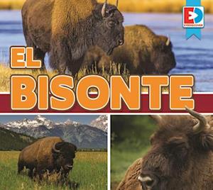 El Bisonte (Bison)