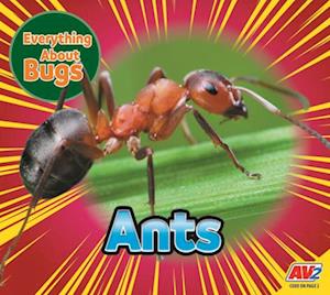 Ants