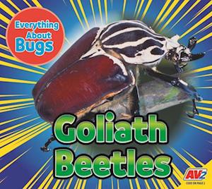 Goliath Beetles