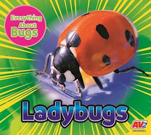 Ladybugs