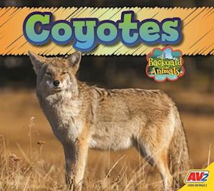 Coyotes