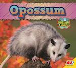 Opossum