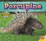 Porcupine