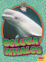 Beluga Whales